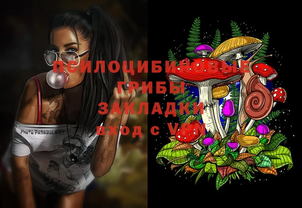2c-b Аркадак