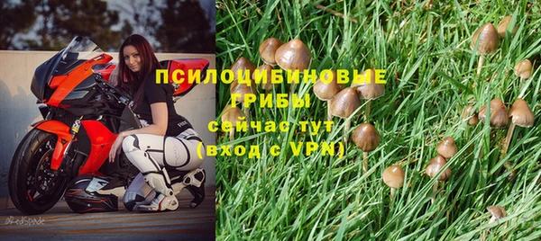 амф Арсеньев