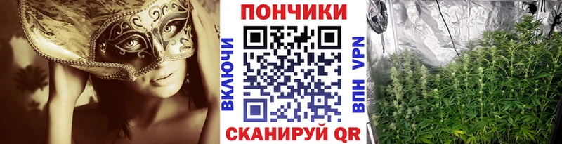 Конопля Amnesia  купить наркоту  Малоархангельск 